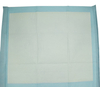 Aiwina Waterproof Bed Wetting Disposable Mattress Protector
