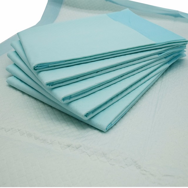 Aiwina Waterproof Bed Wetting Disposable Mattress Protector